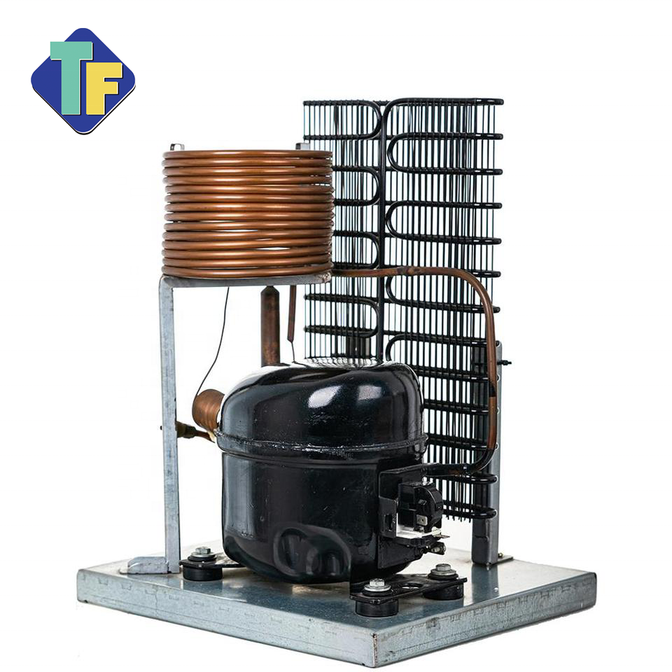 R134a 230V 50Hz Air Cooled Outdoor Mini Condensing Unit for Milk Cooling Tank Water Dispenser