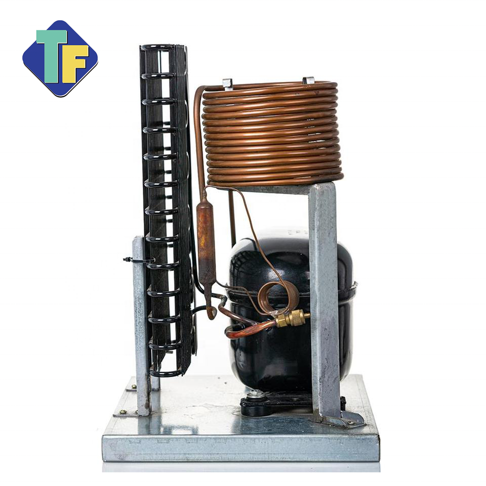 R134a 230V 50Hz Air Cooled Outdoor Mini Condensing Unit for Milk Cooling Tank Water Dispenser