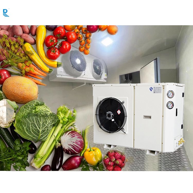 Small Cold Compressor Unit Walk in Cooler Refrigeration Mini Cold Room Single Phase Air Cooled 2hp 5hp Condensing Unit Freezer
