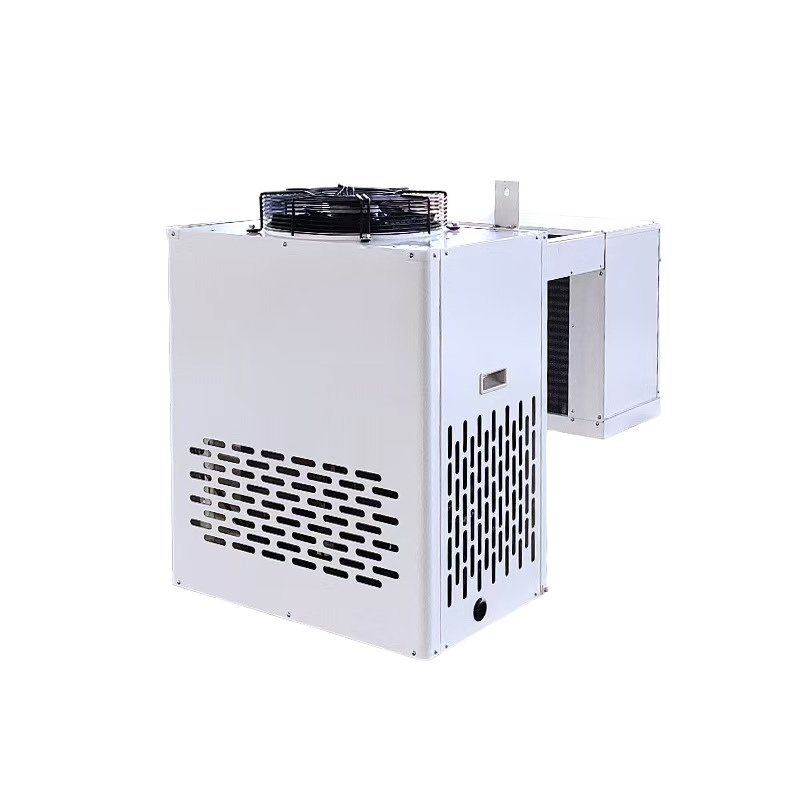 High Quality Frost-Free Anti-Vibration Box Type Air Cooled Cold Room Condensing Unit Self-Diagnostic R410A Pump Motor Affordable