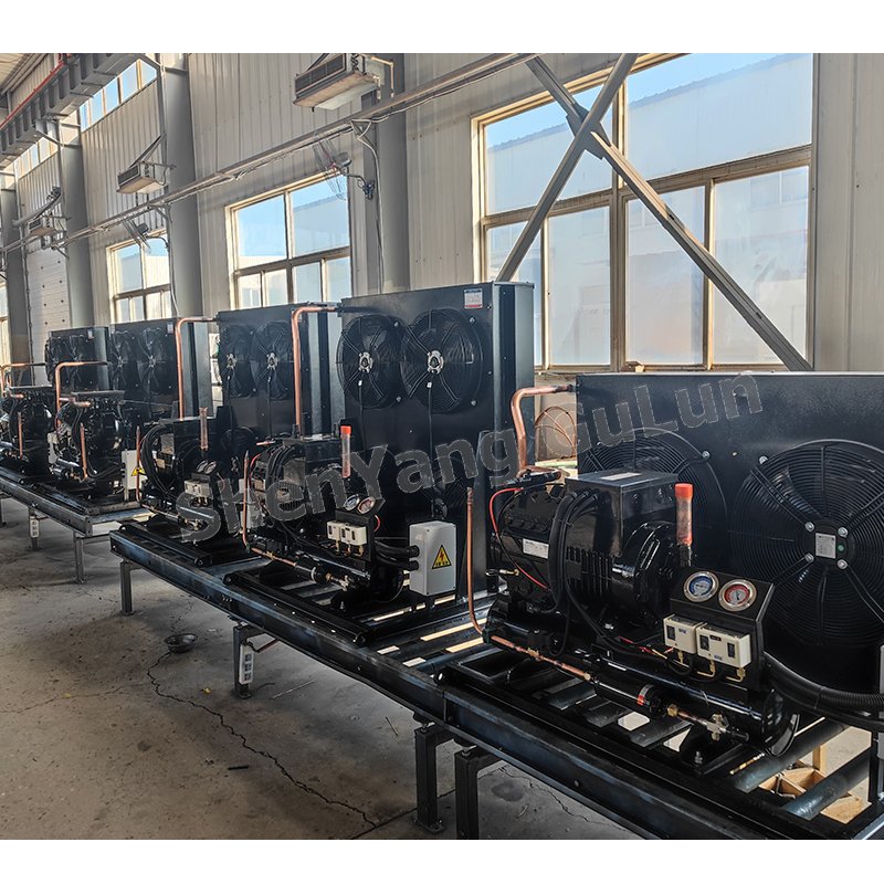 Reliable Reputation New Liaoning ChinaC43-AL 4HP Air-cooled Condensing Units