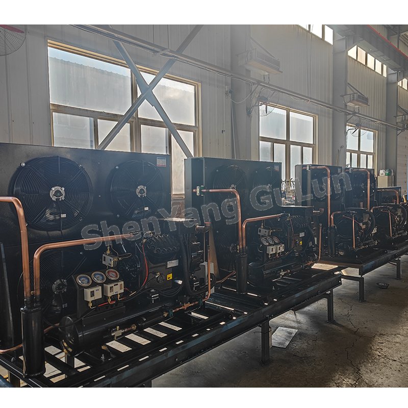Reliable Reputation New Liaoning ChinaC43-AL 4HP Air-cooled Condensing Units