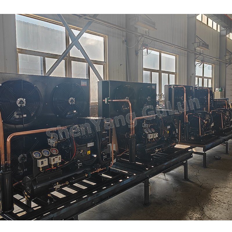 Reliable Reputation New Liaoning ChinaC43-AL 4HP Air-cooled Condensing Units