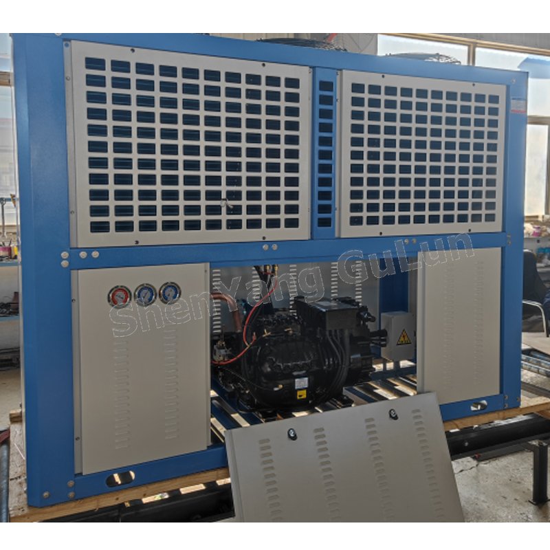 Reliable Reputation New Liaoning ChinaC43-AL 4HP Air-cooled Condensing Units