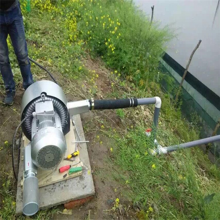 Factory Supply Stable Quality Competitive Price Industrial Blower Fan Pond Aquarium air Blower for Fish Pond