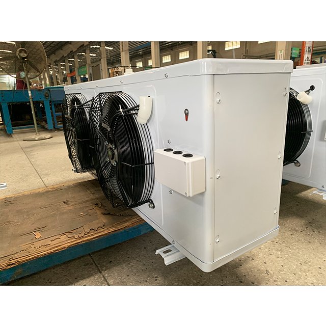 Walk in Cooler Condensing Unit and Evaporator for Cold Room