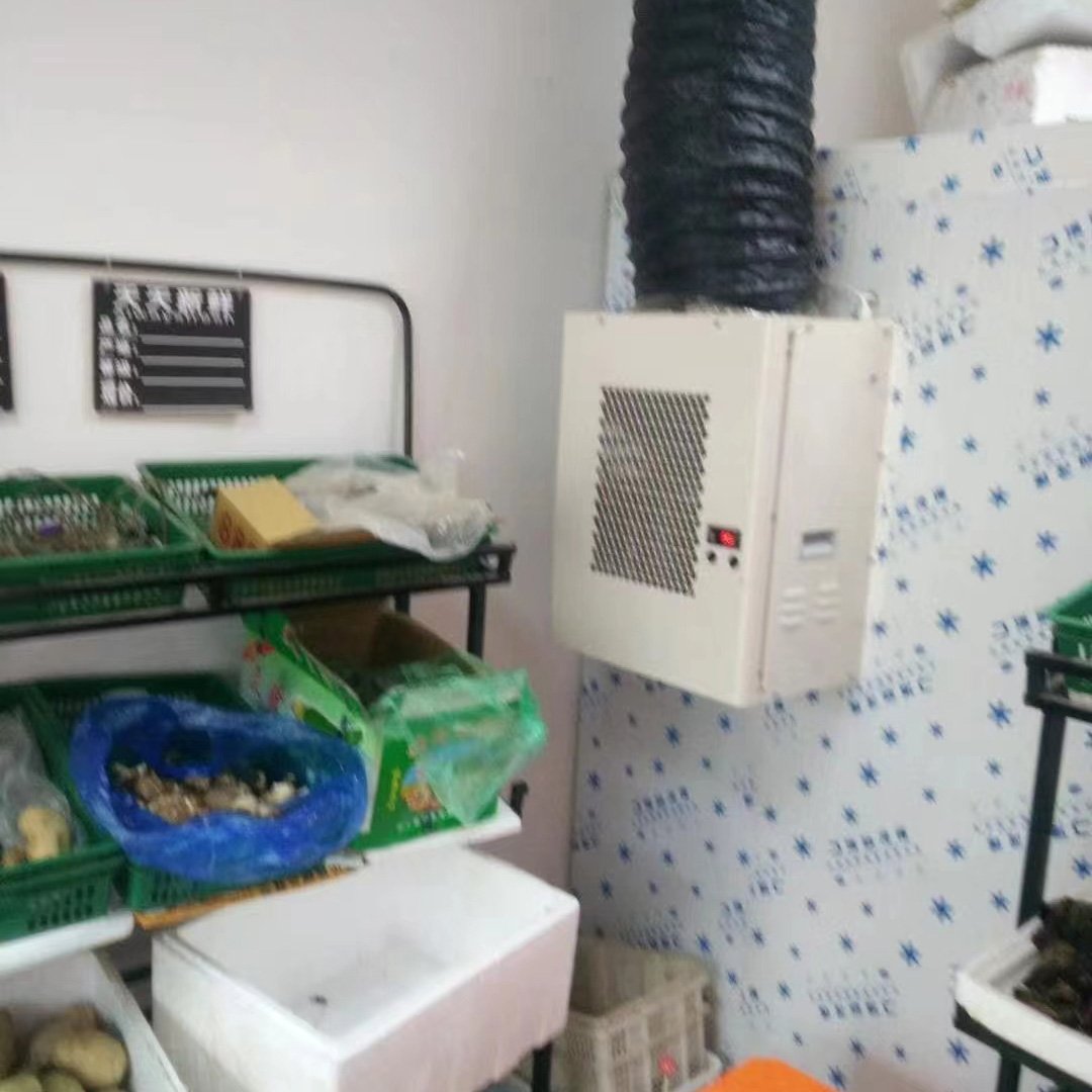 220V 1P Bitzer Compressor Energy Saving Automatic Air Cooler Cold Room Unit Motor New Side-Mounted Installation Condensing Units