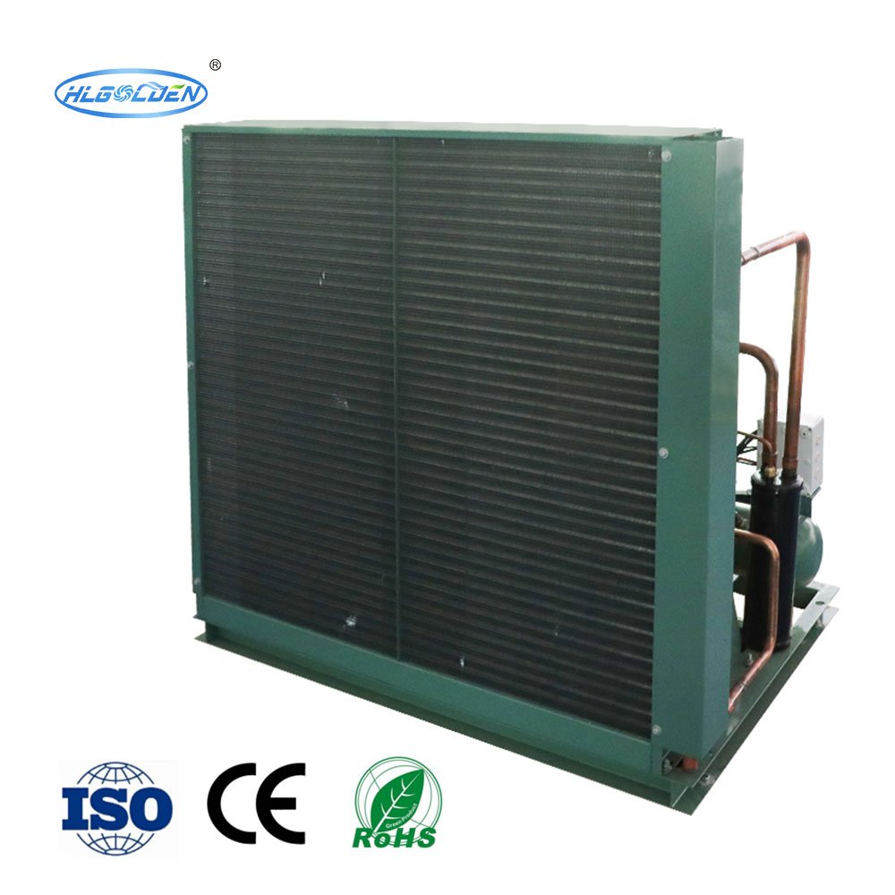 CDU 3HP 18K BTU R410A Condensing Unit Compressor Refrigerator 7.5HP Refrigeration 5Ton Condensing Unit 40HP 3HP for Freezer Room