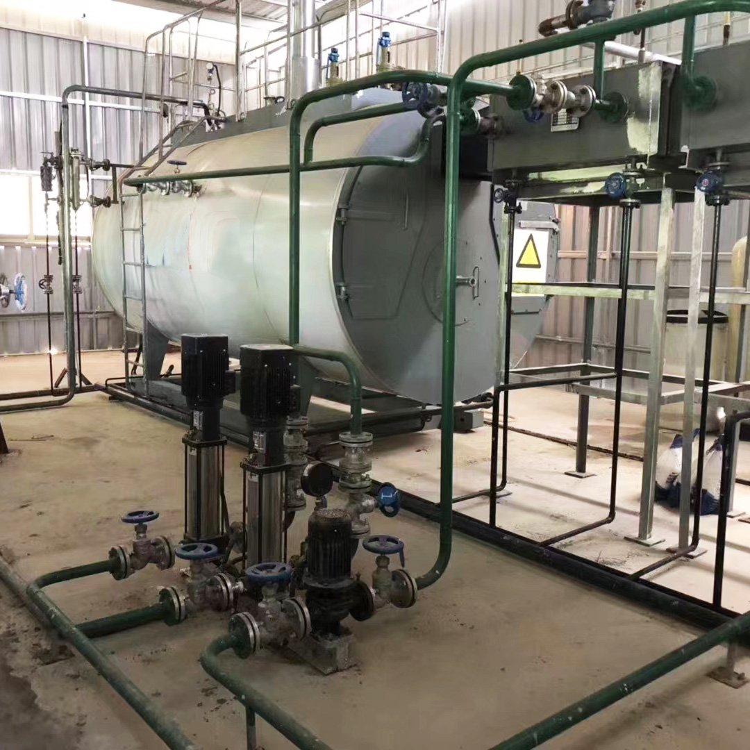 Gas Fired Boiler for Natural Gas Heating Commercial Condensing Gas Boiler