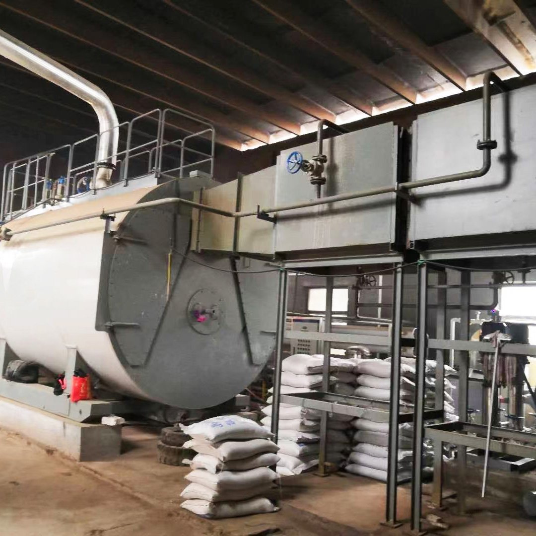 Gas Fired Boiler for Natural Gas Heating Commercial Condensing Gas Boiler