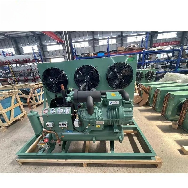 5/6/8/10/12Hp Medium Refrigeration Unit Air Cooled Open Type Cold Storage Compressor Condensing Unit