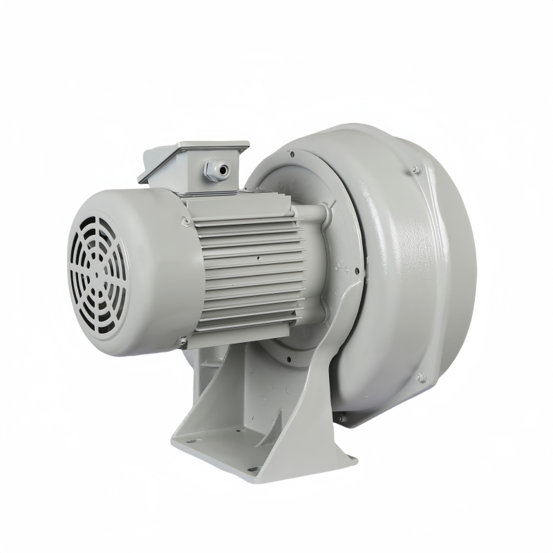 Factory Supply 2HP High Temperature Good Quality High Airflow Smoke Centrifugal Blower Fan for Combustion