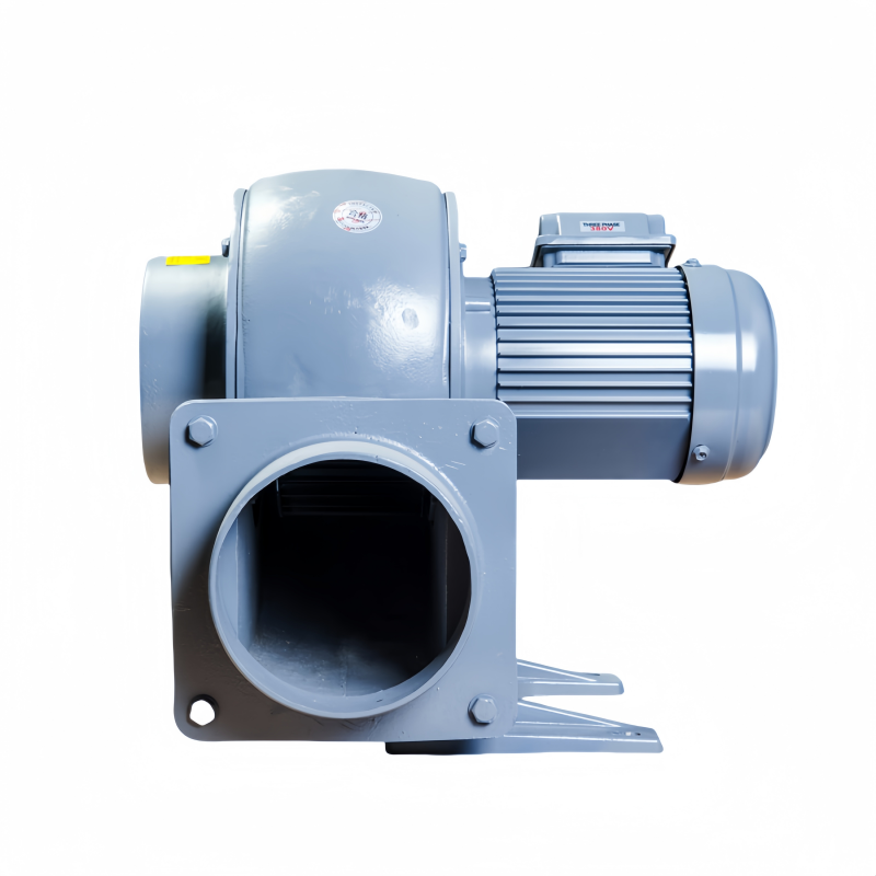 Factory Supply 2HP High Temperature Good Quality High Airflow Smoke Centrifugal Blower Fan for Combustion