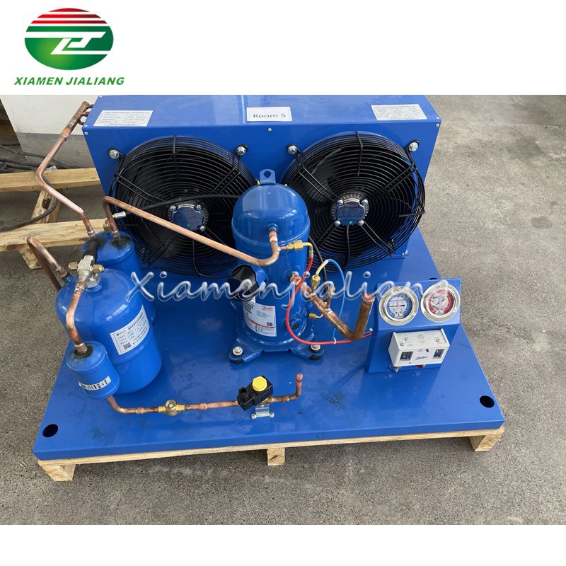 2HP 3HP 220V 50Hz Single Phase Refrigeration Condensing Unit Cold Room