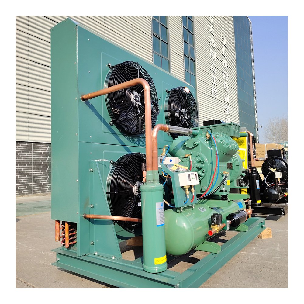 3hp 4hp 5hp 6hp 7.5hp 10hp 12hp 20hp Refrigeration Condenser Unit Air Cooled Freezer Condensing Freezing Units for Cold Room