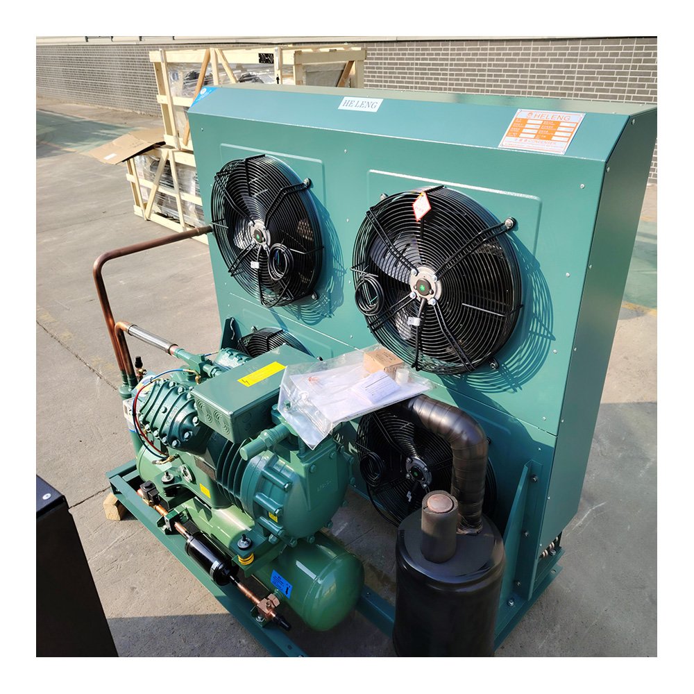 3hp 4hp 5hp 6hp 7.5hp 10hp 12hp 20hp Refrigeration Condenser Unit Air Cooled Freezer Condensing Freezing Units for Cold Room