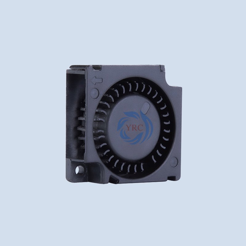 CE RoHS Approved 30*10mm 3010 12V DC Blower Fan Motor Waterproof Ventilation Low Noise