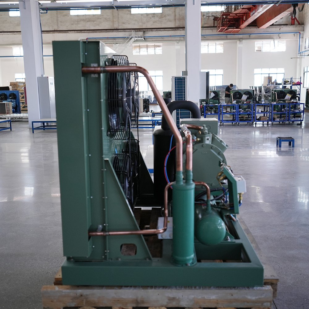 Factory 3hp 5hp 6hp 10hp Germany Air Cooled Condensing Unit Emerson R410A Essential Motor Gear Cooling System Refrigeration