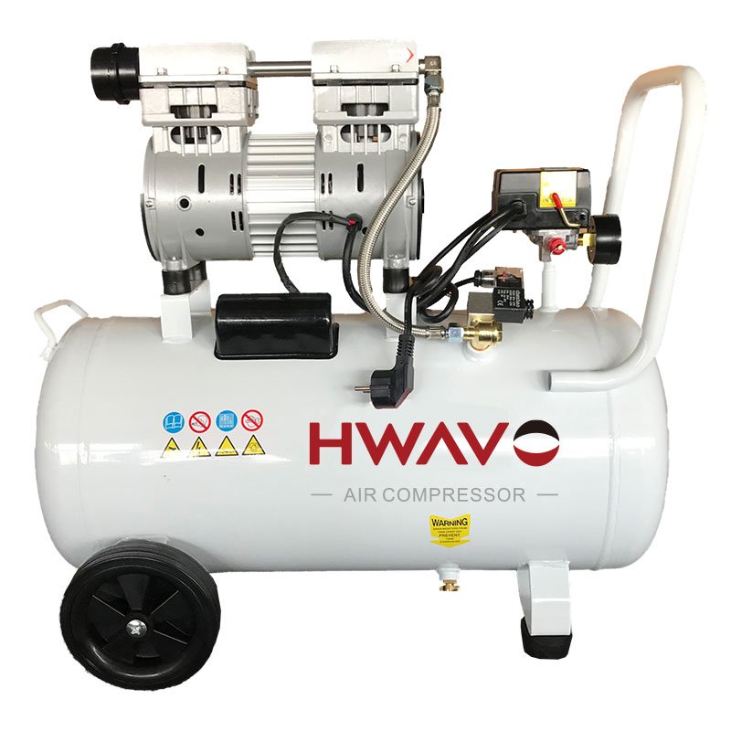 Competitive Price Home Use Portable 24l 1hp Piston Oil Free air Compressor with air Dryer