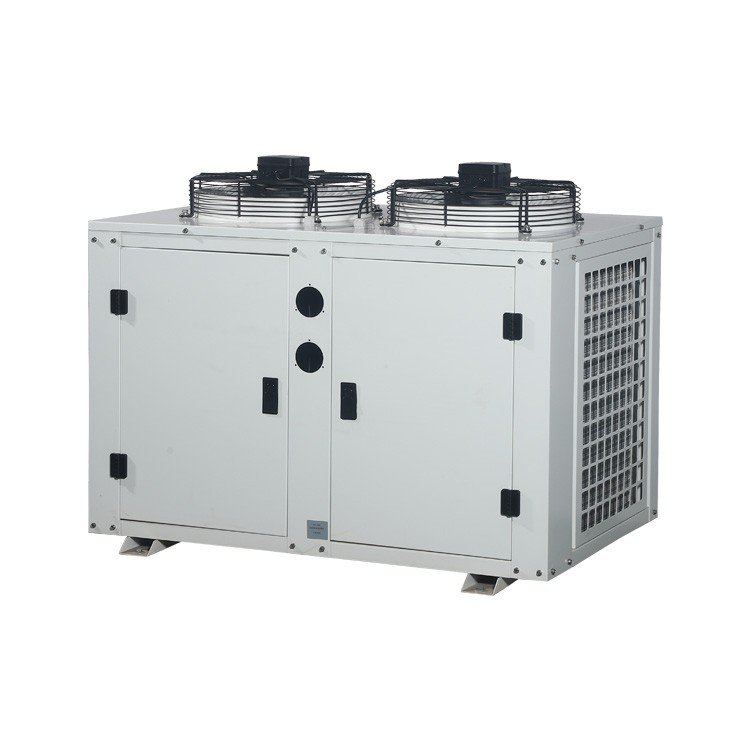 Direct Factory Sales U-Shaped Air-Cooled Condenser Box Fruit Refrigeration Compartment Unit with Pump Core Component