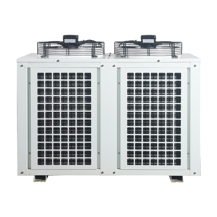 Direct Factory Sales U-Shaped Air-Cooled Condenser Box Fruit Refrigeration Compartment Unit with Pump Core Component