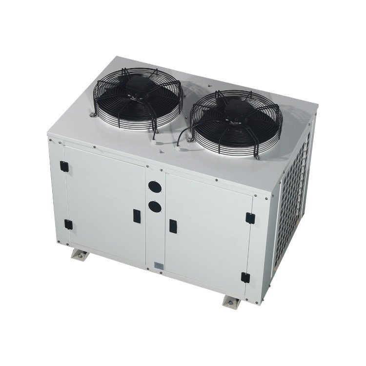 Direct Factory Sales U-Shaped Air-Cooled Condenser Box Fruit Refrigeration Compartment Unit with Pump Core Component