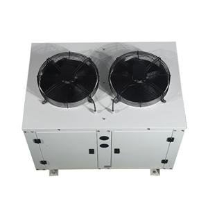 Direct Factory Sales U-Shaped Air-Cooled Condenser Box Fruit Refrigeration Compartment Unit with Pump Core Component