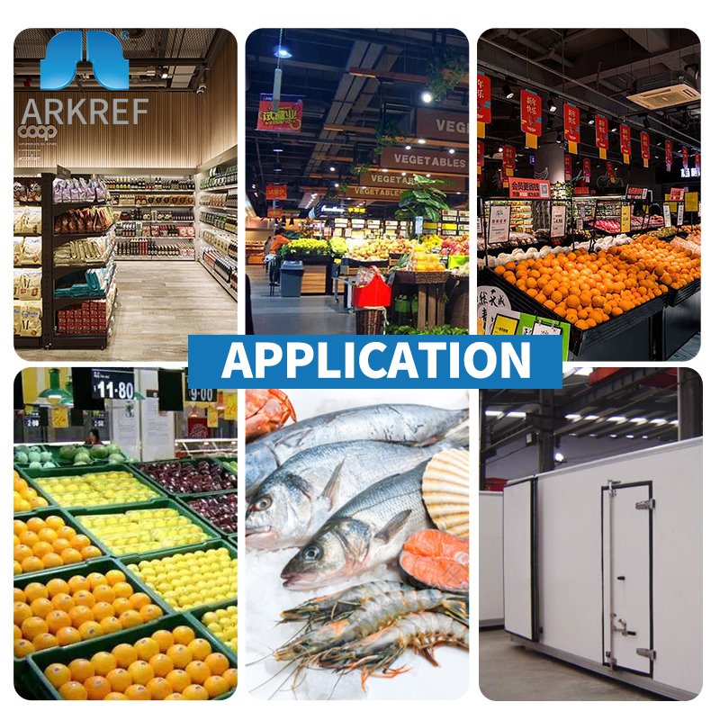 Arkref Cold Room Frequency Conversion Air-cooled Refrigeration Condensing Unit Inverter Condensing Unit