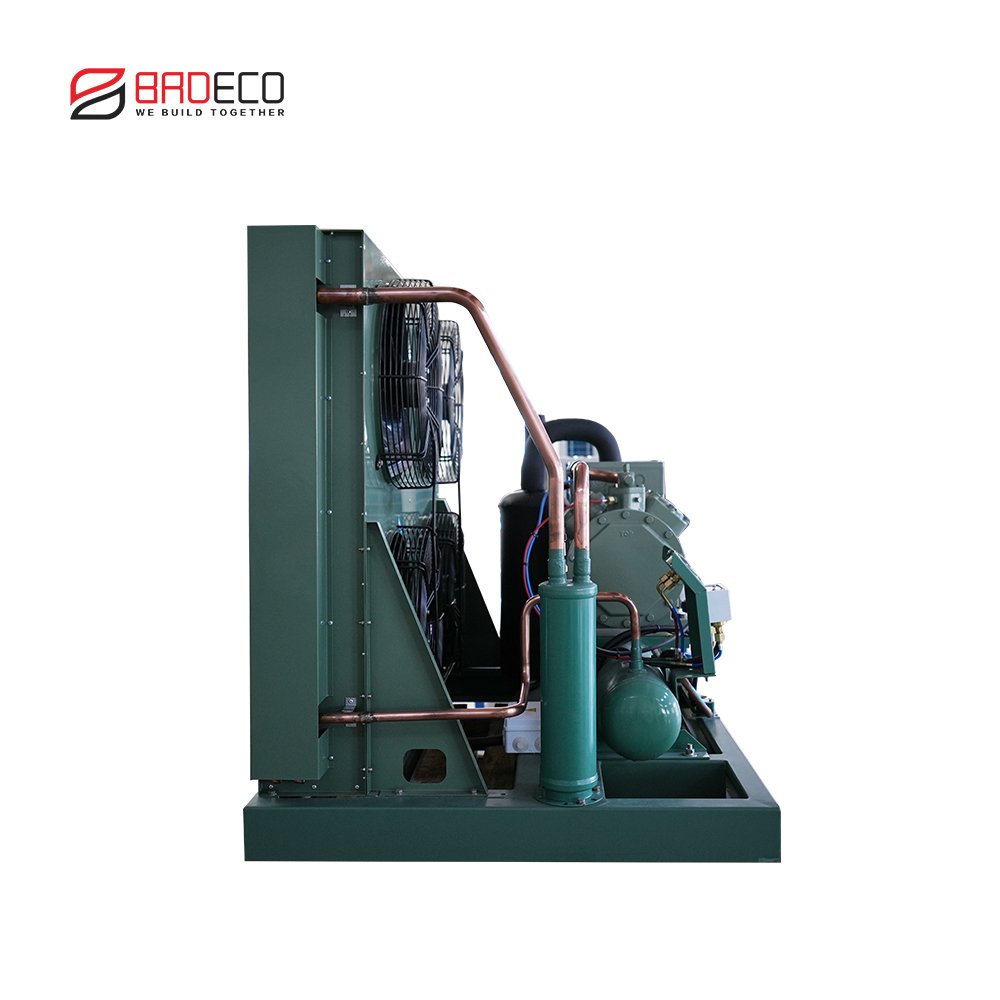 Cold Room Refrigeration Condenser Equipment Piston Refriger Compressor Unit