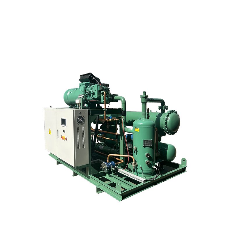 Air Scroll Chiller Screw Parallel Condensing Unit Industrial Equipment Water Chiller Machine Imported Bizer Unit