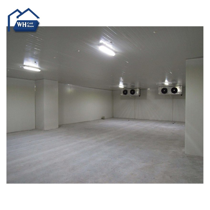 Freezer Control Unit Single Phase Cool Room Freezer Refrigeration Unit Chiller air Cooled Condenser