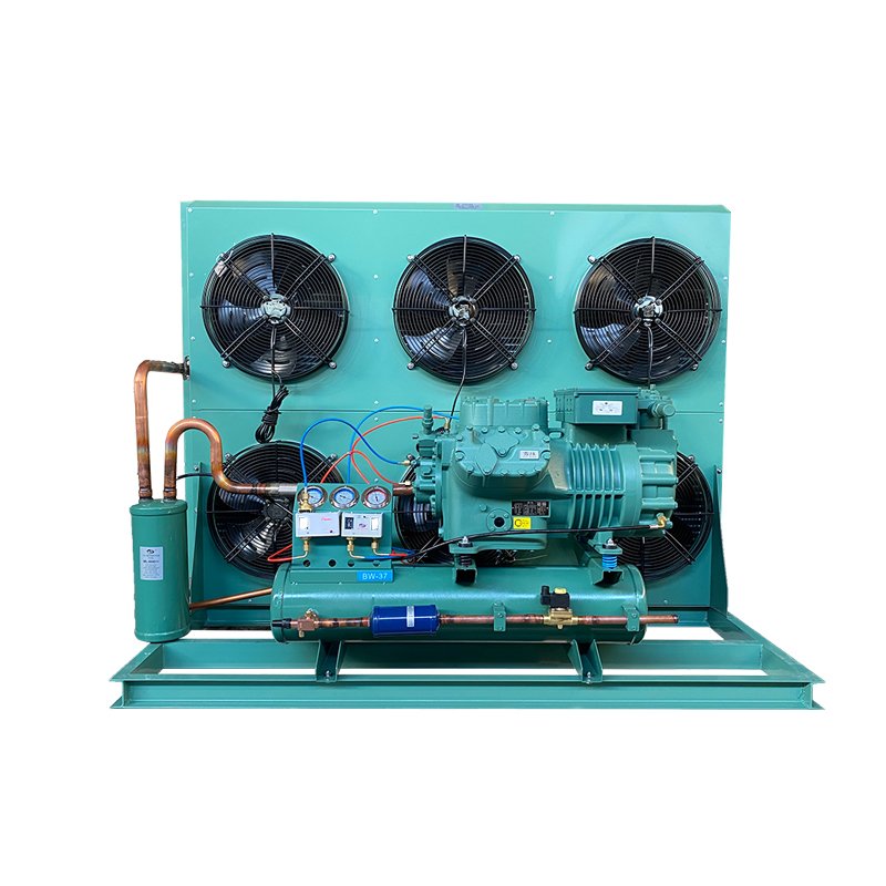 Competitive Price Cooling Compressor air Cooled Refrigeration Unit Condensing Unit for Manufacturing Plant