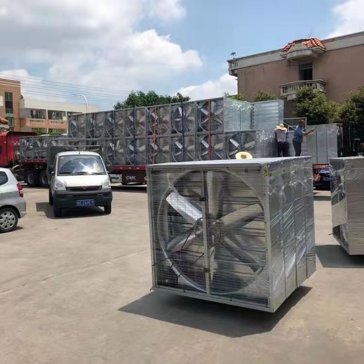 Hot Sale Stainless Steel Cone Fan for Poultry Farming Wall-Mounted Ventilation Exhaust Electric Power Source Ball OEM ODM