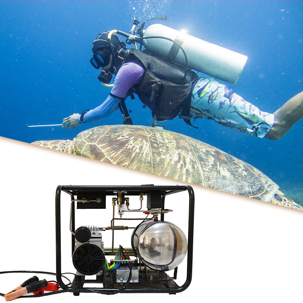 Oil Free Scuba Diving Pump Dc 12v Diving Compressor Hookah Diving Air Compressor