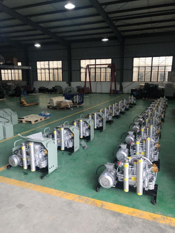 Hot Selling 265L/min Air Pump 30Mpa High Pressure 380V/5.5kW Portable Diving Compressor Air Compressor