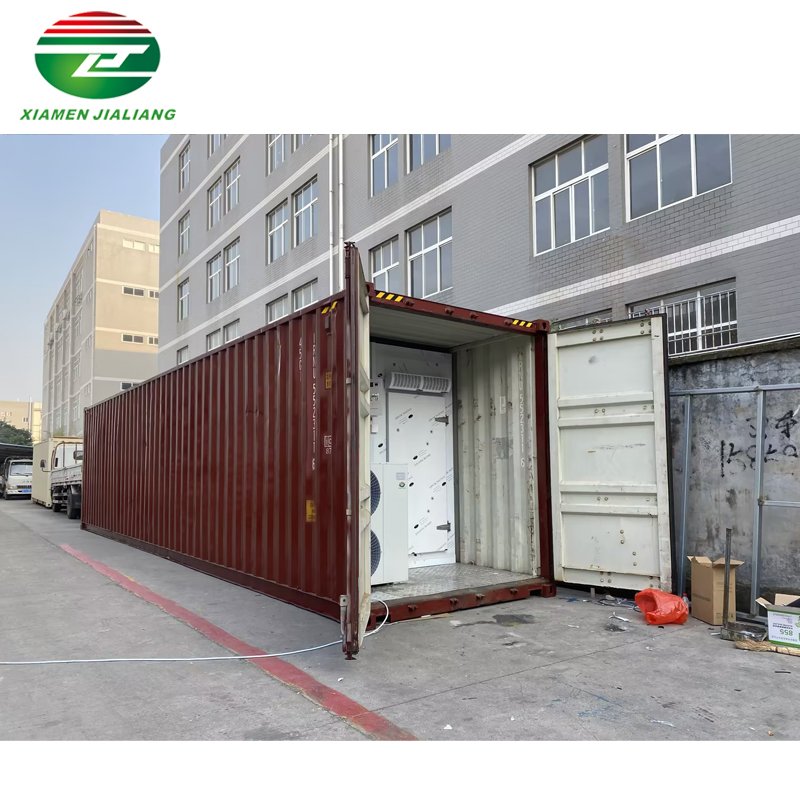 Xiamen Jialiang container of frozen chicken blast freezer container