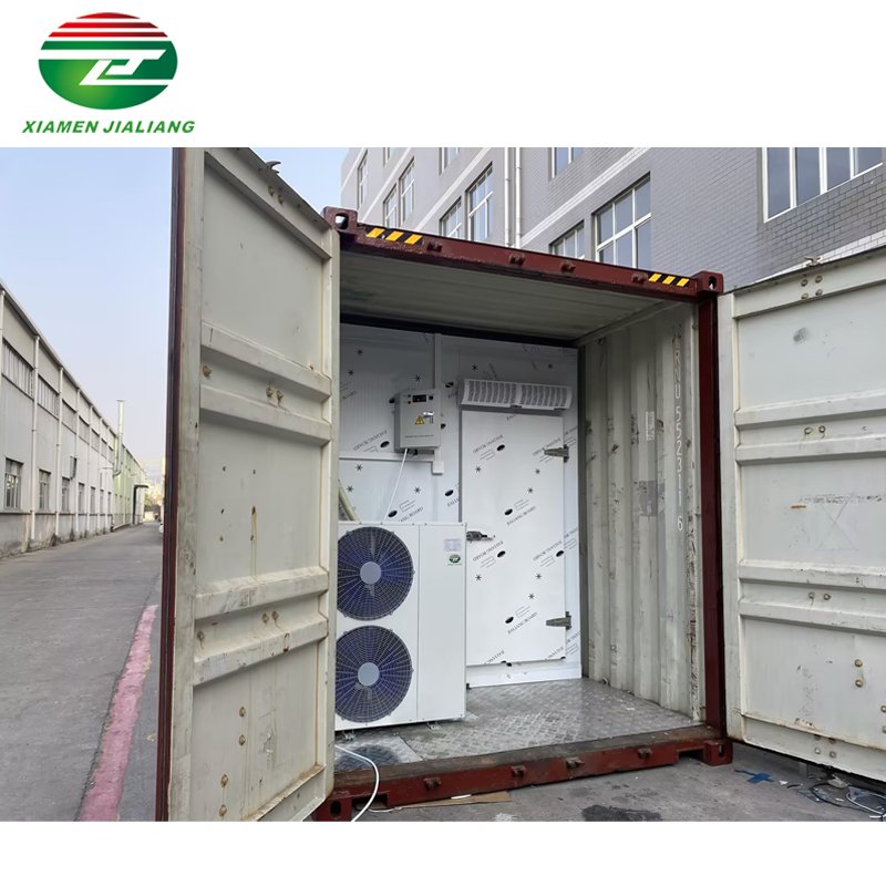 Xiamen Jialiang container of frozen chicken blast freezer container
