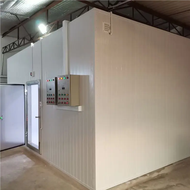 Mobile Container Cold Storage Blast Freezer Room Walk in Cooler Storage Room for Meat