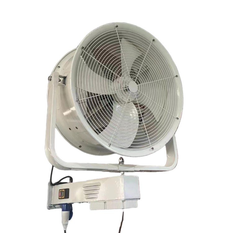 220V 50Hz BTF-I-24" Industrial Oscillating Ventilation Fan