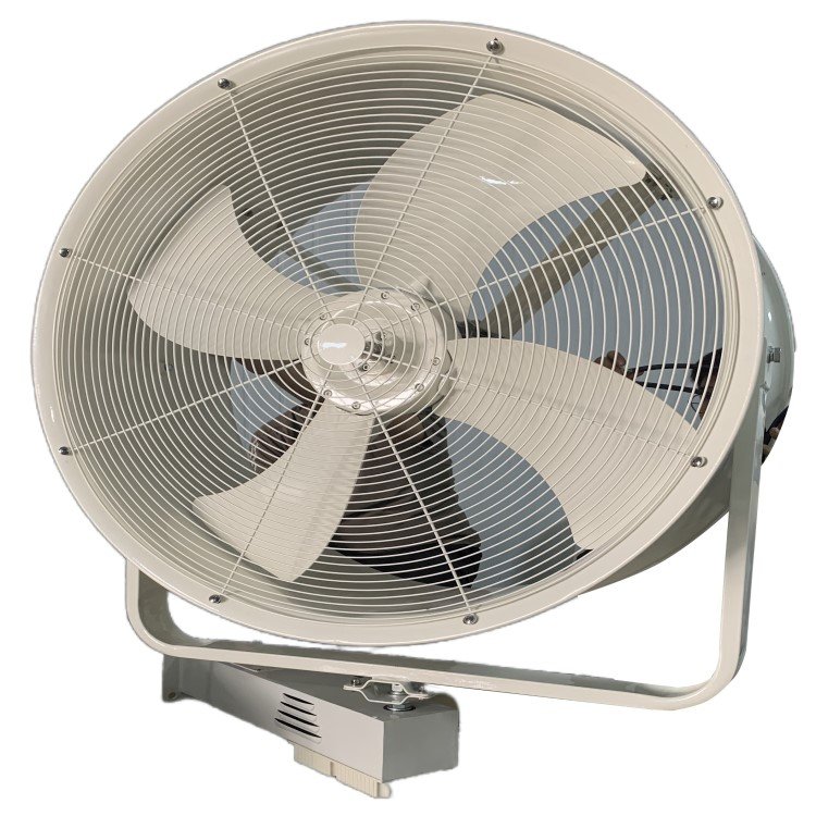 220V 50Hz BTF-I-24" Industrial Oscillating Ventilation Fan