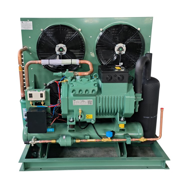 RUIXUE Customized Temperature Industrial Open Type Air Coolder Refrigeration Condensing Units