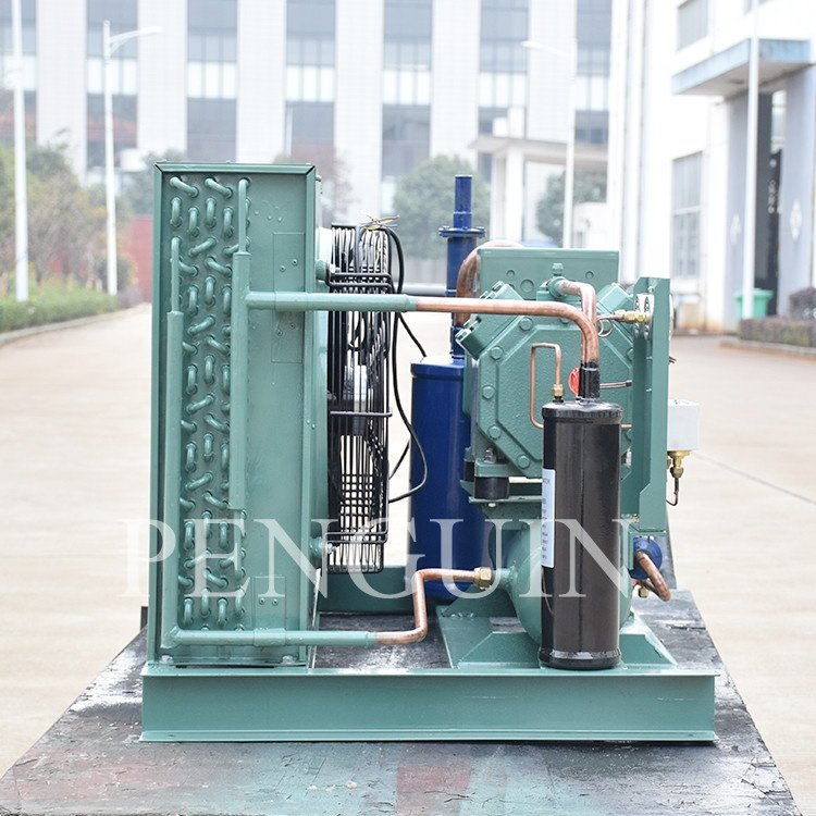Commercial 6.5HP 4CC6.2 4CES6(Y) Air Cold Refrigeration Compressor Unit With Tube Fin for Fish Vegetables Meet Frozen