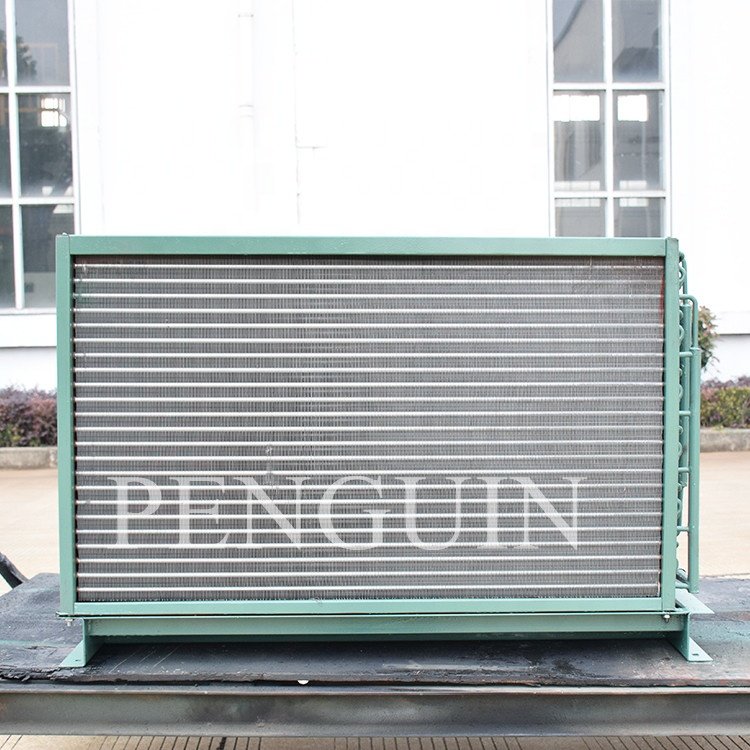 Commercial 6.5HP 4CC6.2 4CES6(Y) Air Cold Refrigeration Compressor Unit With Tube Fin for Fish Vegetables Meet Frozen