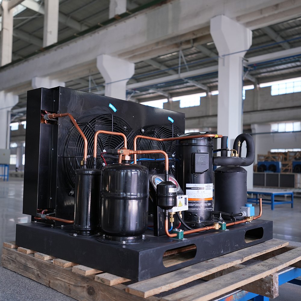 6HP Open Type Air Cooled Condensing Unit Bizter Compressor R410A Refrigeration Freezer Room Core Motor Gear Cold Rooms