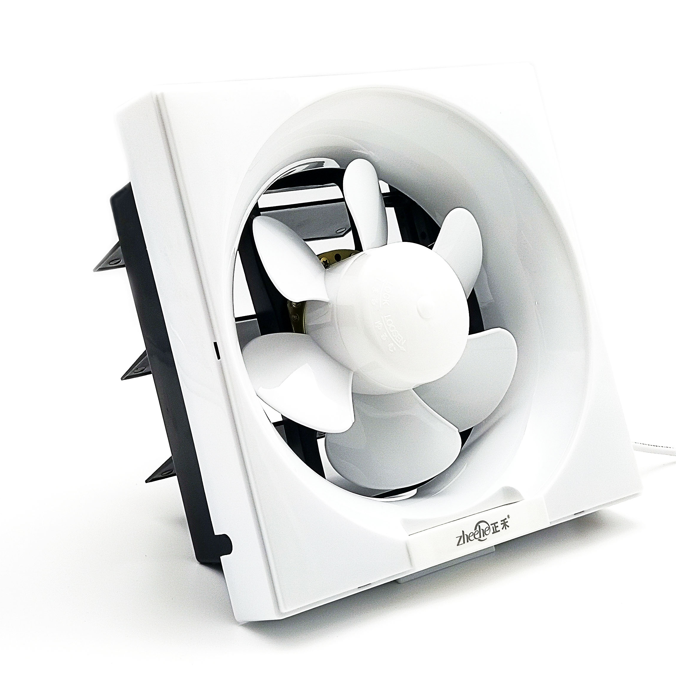 AC 220V Copper Motor Ventilating Fan 10 Inch windows Fan Kitchen and Bathroom Exhaust Fan for Home