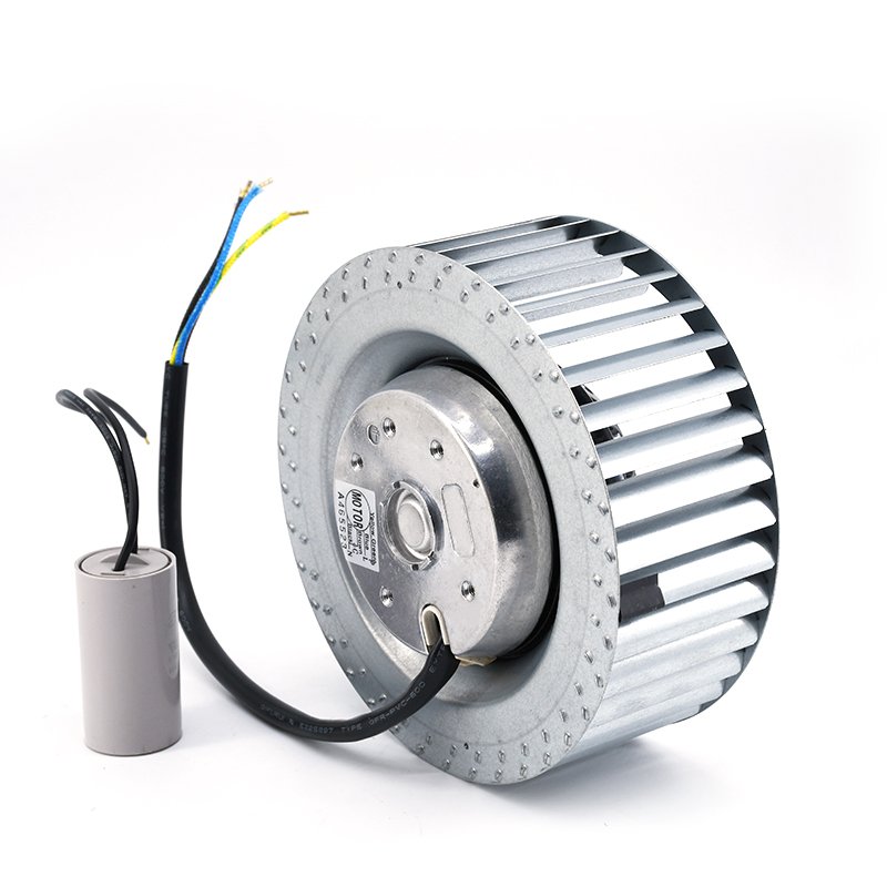 Professional Manufacture Blower Wheel Fan Impeller External Rotor Motor Prowered Forward Curved Centrifugal Fan