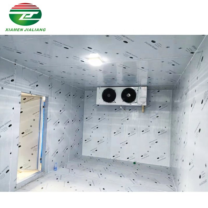 Xiamen Jialiang Factory Outlet Cold Room Cooling System Blast Freezer 3 Tons Cold Room