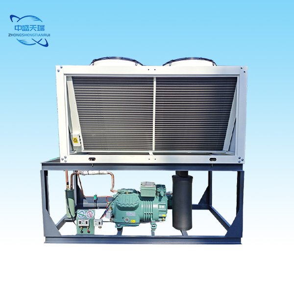R290/380V 2 hp 3 hp 5 hp Hot Sale Cold Room Cold Storage High Performance Two Stage Bitzer Compressor Air Cooled Condensing Unit