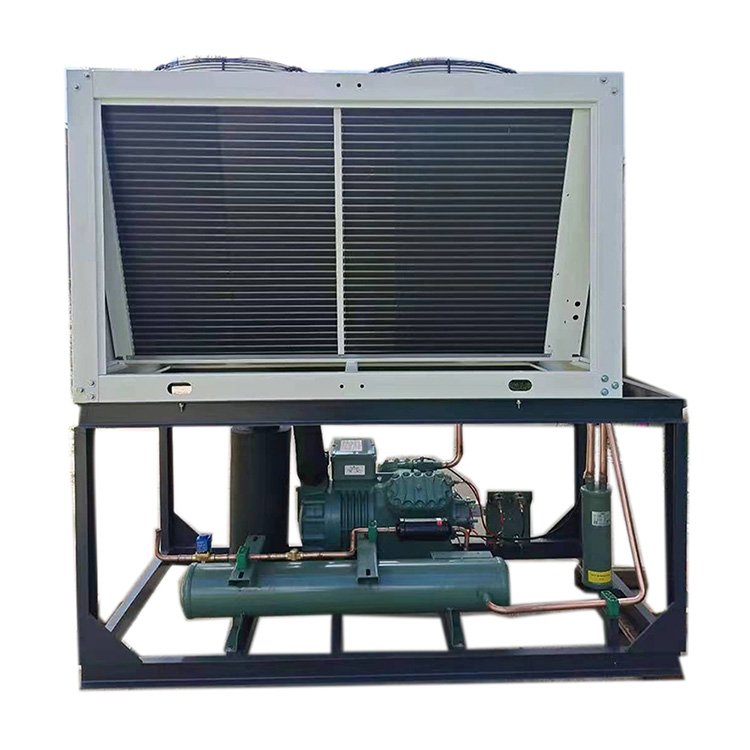 R290/380V 2 hp 3 hp 5 hp Hot Sale Cold Room Cold Storage High Performance Two Stage Bitzer Compressor Air Cooled Condensing Unit