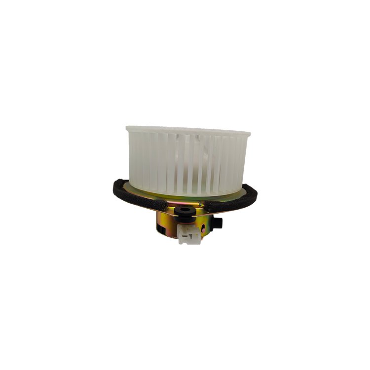 Blower Motor Ac Blower Motor Auto Ac Parts for Daewoo Okamioka UD Fan 24V